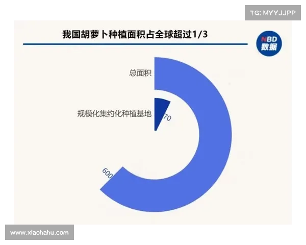 晶歌胡萝卜市场前景分析的七大关键因素及发展趋势探讨 晶歌胡萝卜市场前景分析的七大关键因素及发展趋势探讨
