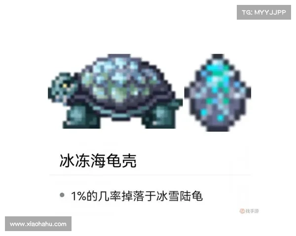 掌握武魂玄冰之力:全方位提升输出与防御的策略解析 掌握武魂玄冰之力:全方位提升输出与防御的策略解析