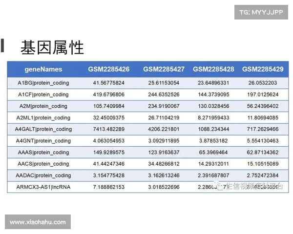 游戏法术ID揭秘:编码背后的技能关系深度分析 游戏法术ID揭秘:编码背后的技能关系深度分析
