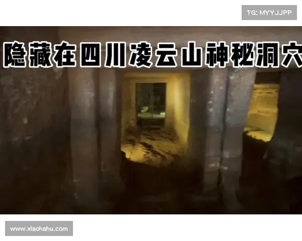 隐匿洞穴行动的关键支持技术与装备需求分析及其应用前景 隐匿洞穴行动的关键支持技术与装备需求分析及其应用前景
