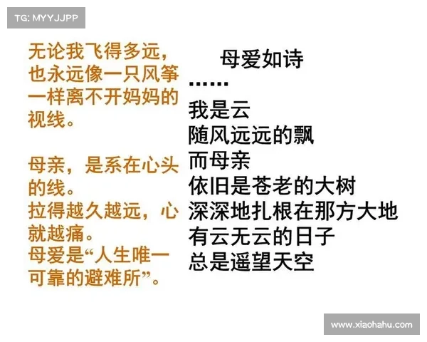 冰心诗文中的母爱主题解析:从情感、象征、艺术性等七个维度探讨其文学价值 冰心诗文中的母爱主题解析:从情感、象征、艺术性等七个维度探讨其文学价值