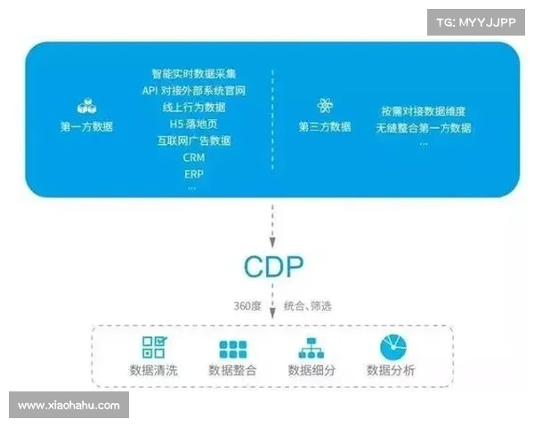 Dovetail平台在用户研究数据整合中的优势与应用探索 Dovetail平台在用户研究数据整合中的优势与应用探索