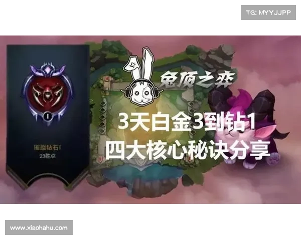 解锁朱雀天境全攻略掌握进入秘法十步直达神域核心秘诀