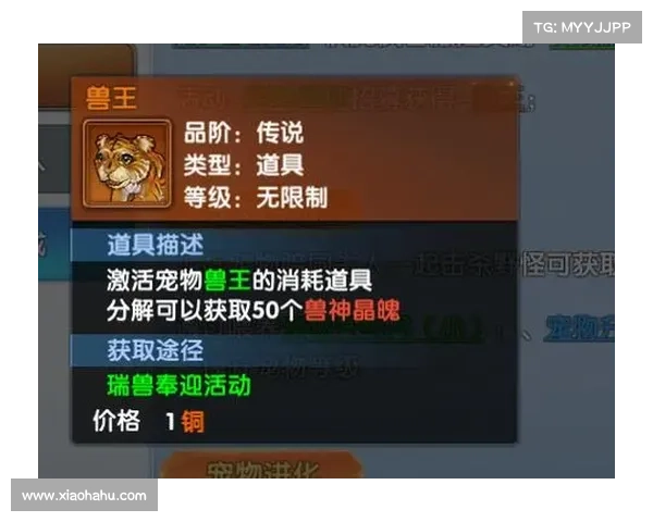 终极宠物养成全解析打造最强伙伴的技能培养与战斗进阶指南