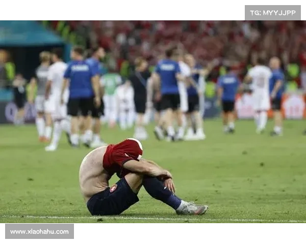 从失利中汲取教训 捷克队如何走向崛起与成长的全新篇章