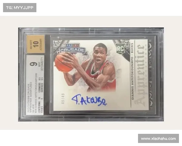 了解字母哥的国家背景及其对篮球生涯的影响与意义 了解字母哥的国家背景及其对篮球生涯的影响与意义