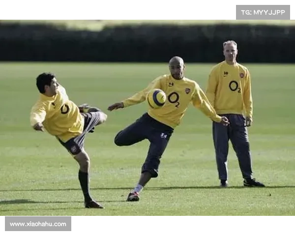 博格坎普为何放弃加盟皇马选择其他球队背后的真正原因揭秘 博格坎普为何放弃加盟皇马选择其他球队背后的真正原因揭秘