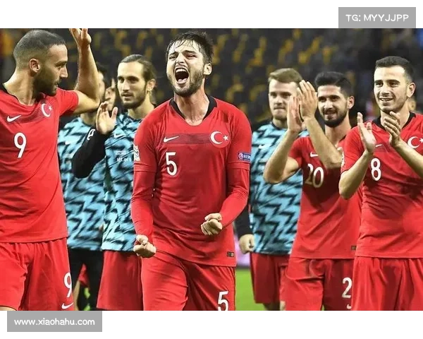 土耳其与格鲁吉亚对决的五大关键球员分析及赛场表现解读