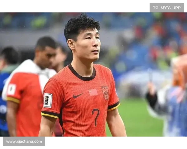 以武磊的记录影响为中心探讨其对中国足球发展深远意义的全方位呈现