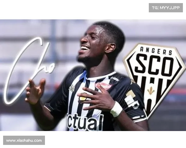 全面掌握法甲联赛决赛时间的权威实用信息查询攻略指南全流程解读