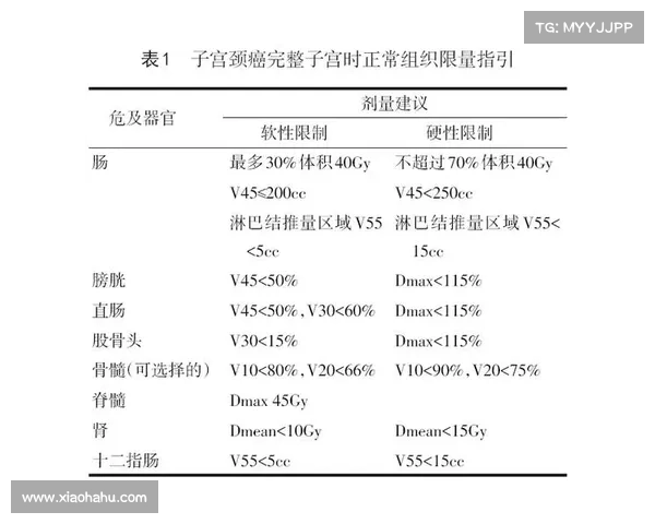 全面解读2023欧国联赛事开赛时间与深度观赛实用指南全方位