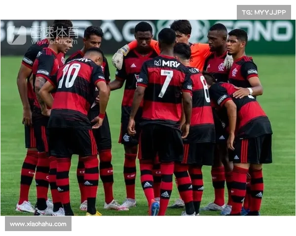 弗拉门戈在超级杯中的战术调整与比赛表现全面分析与总结 弗拉门戈在超级杯中的战术调整与比赛表现全面分析与总结